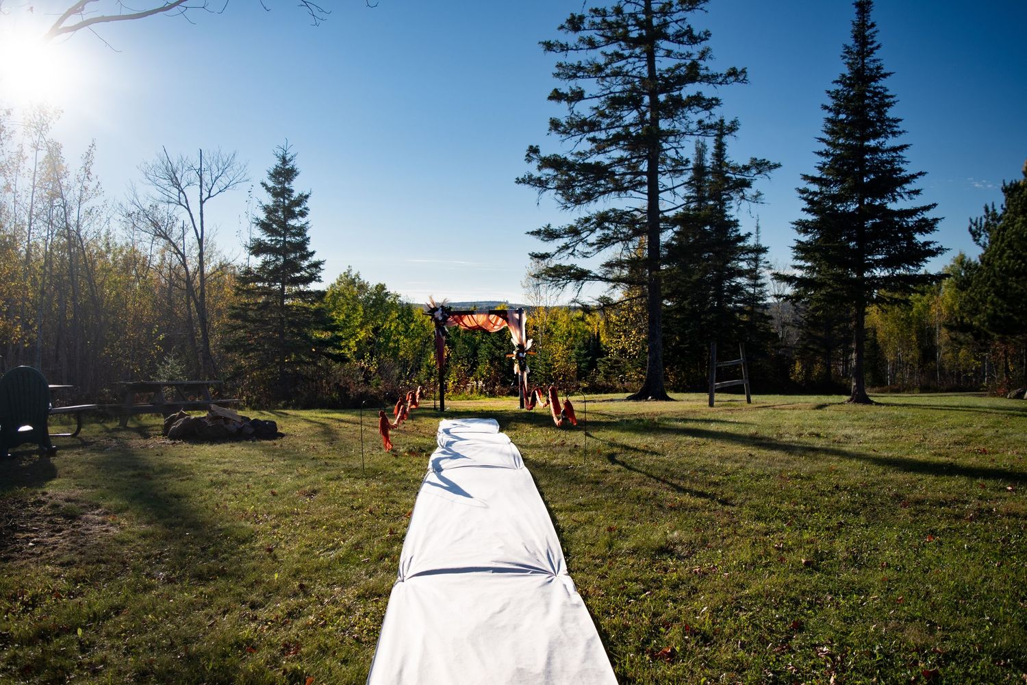 Outdoor wedding ceremony aisle with white runner leading to decorated arch surrounded by tall pine trees.