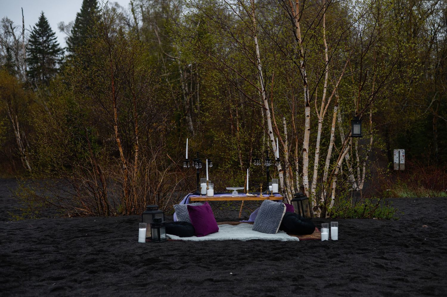 A romantic outdoor dining setup on dark sand beach with candles and purple chairs surrounded by birch trees at dusk.