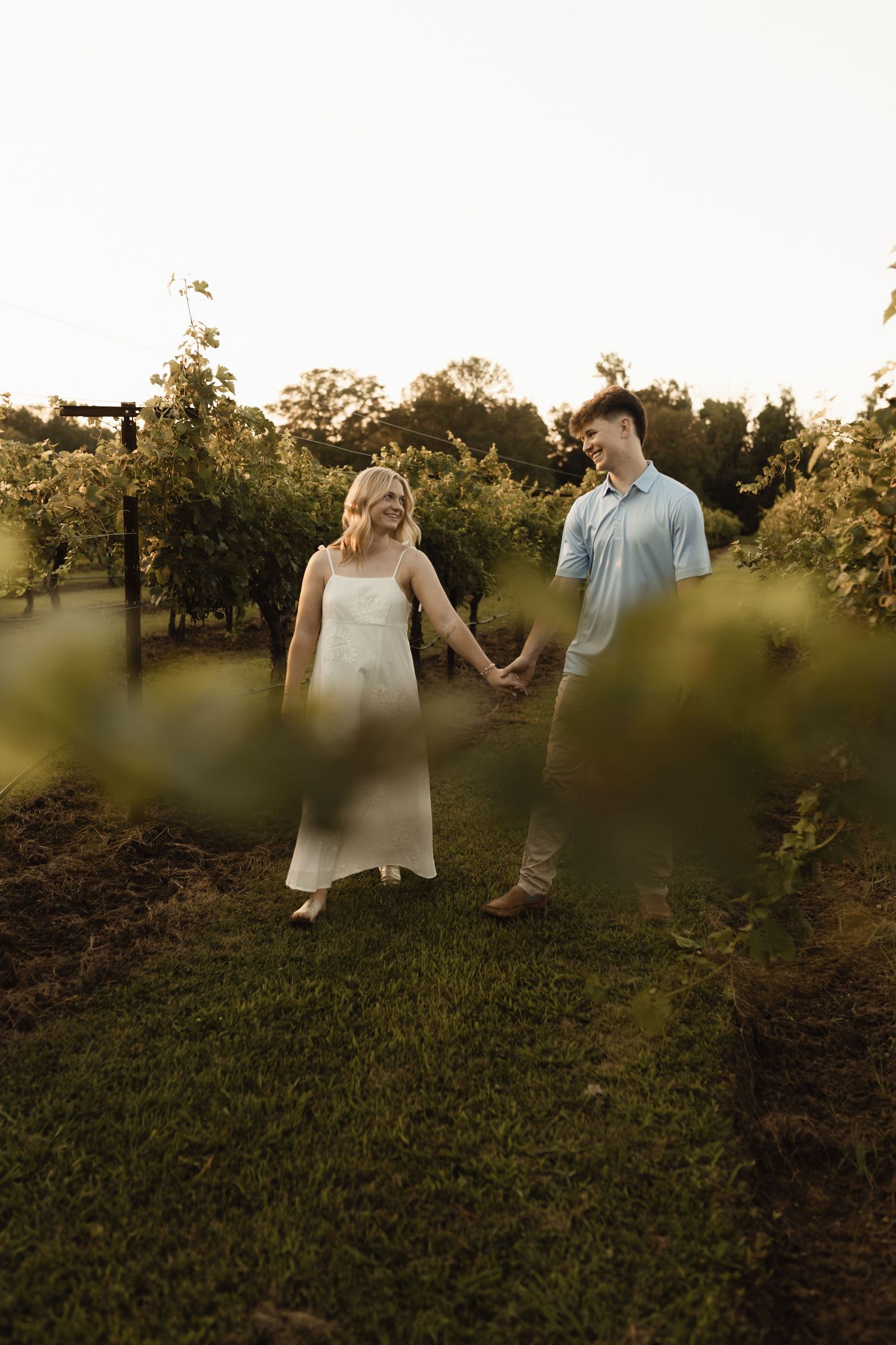 A romantic couple walking through a vineyard at sunset holding hands.