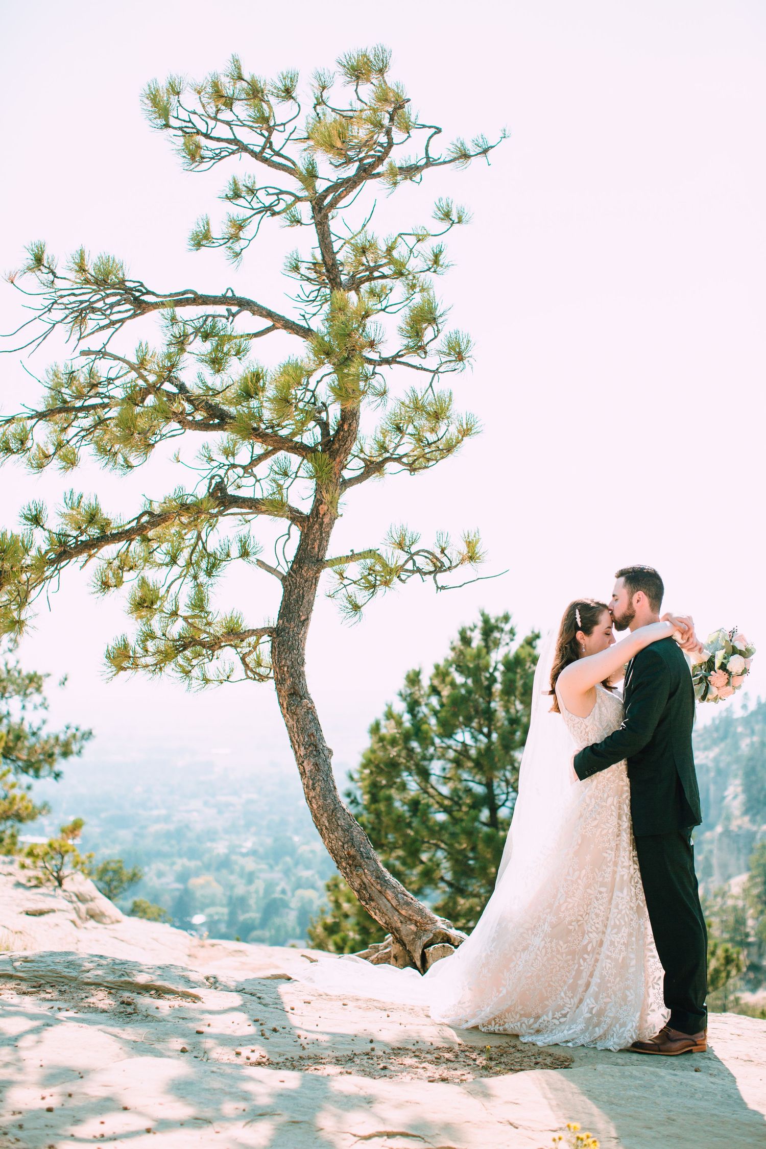 A romantic couple embraces on a scenic mountain overlook with a twisted pine tree against a misty landscape backdrop.