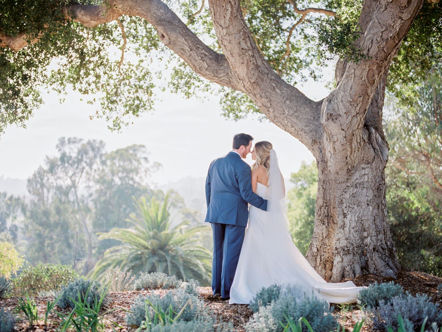A romantic moment captured under a large tree with a garden setting and soft natural lighting.