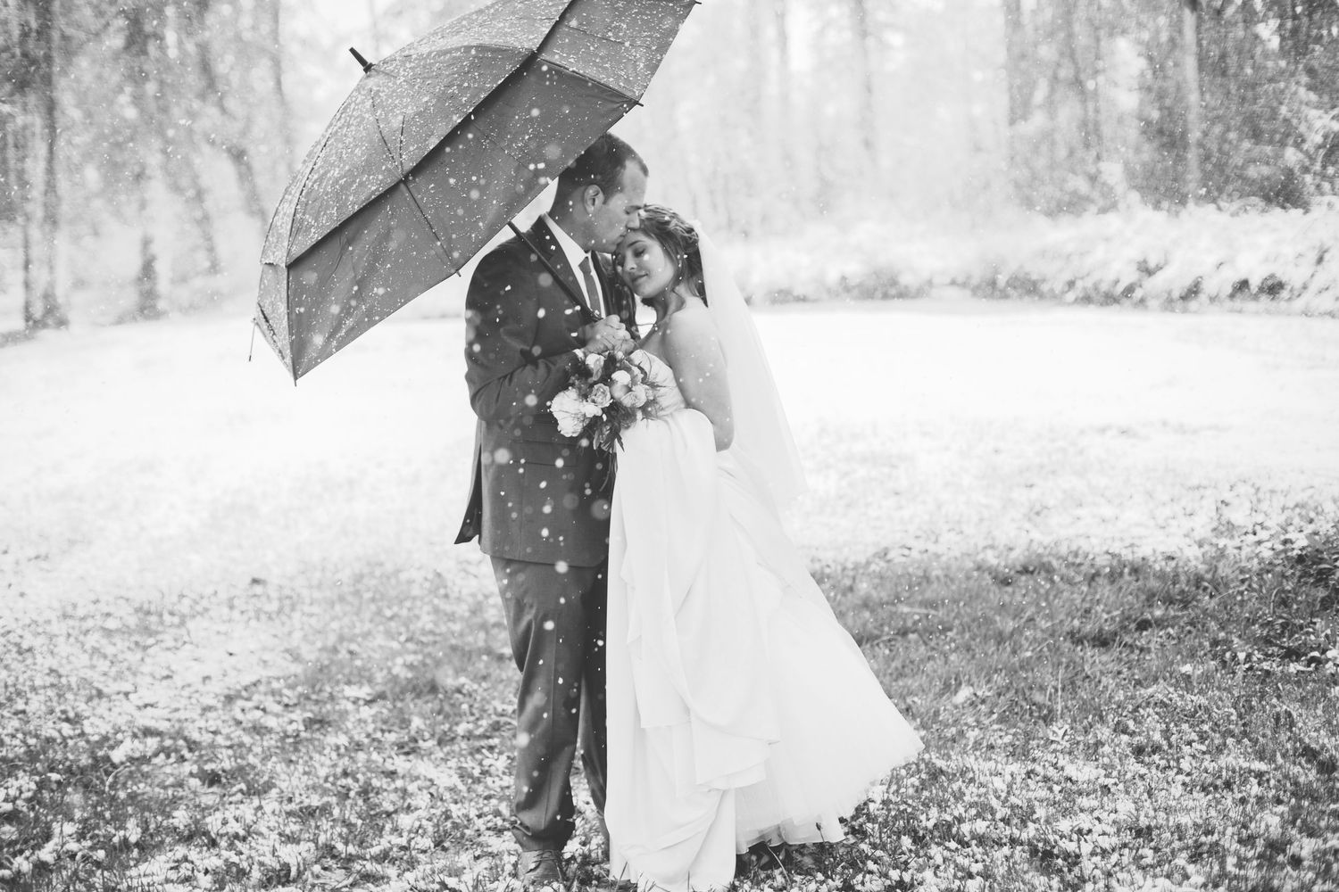 Romantic couple shares intimate moment under umbrella in snowy forest setting.