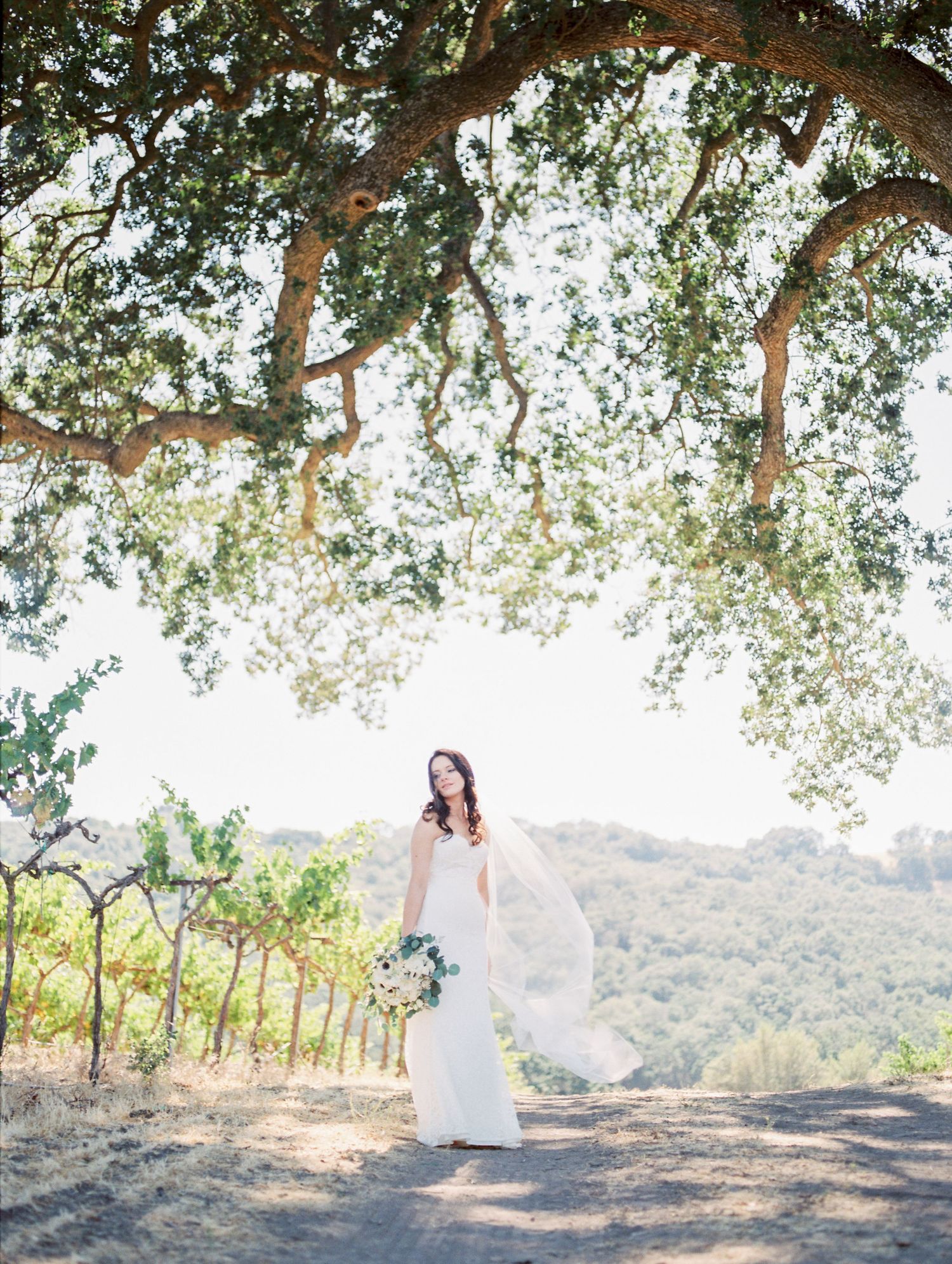 Couple shares romantic moments under large oak trees with rolling hills in background.