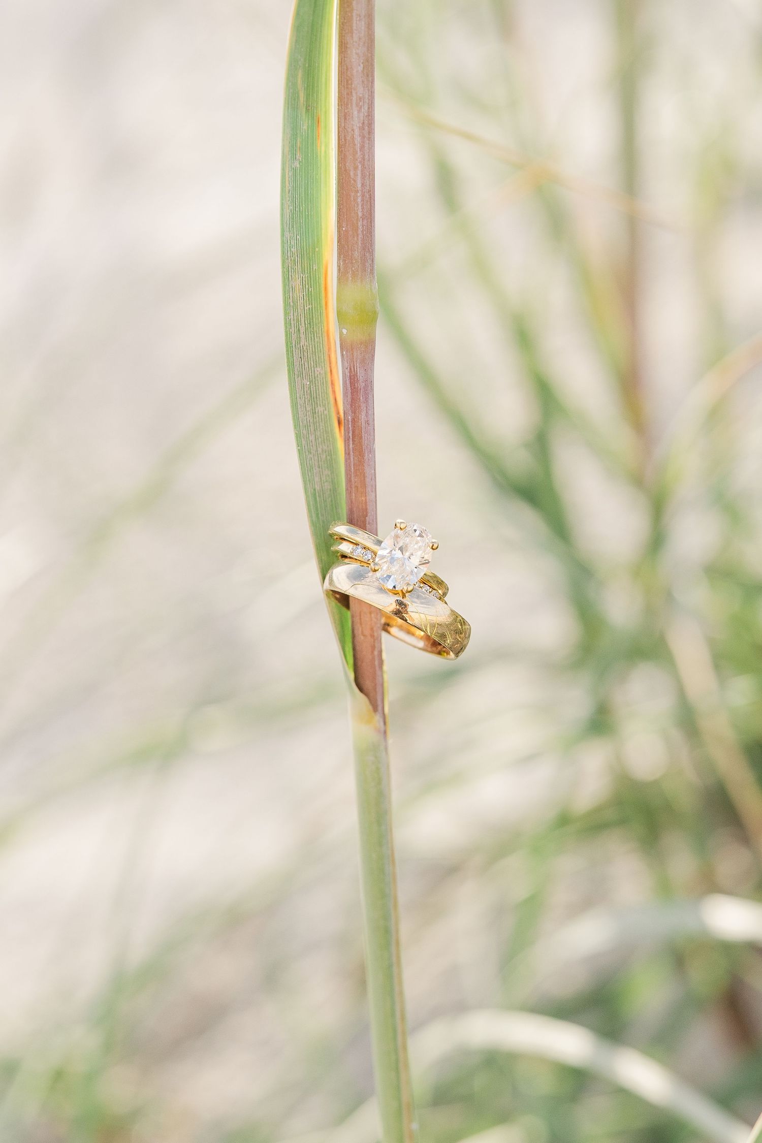 Gold diamond engagement ring and wedding band resting on a green grass blade with soft bokeh background in Carolina Beach near Wilmington, N