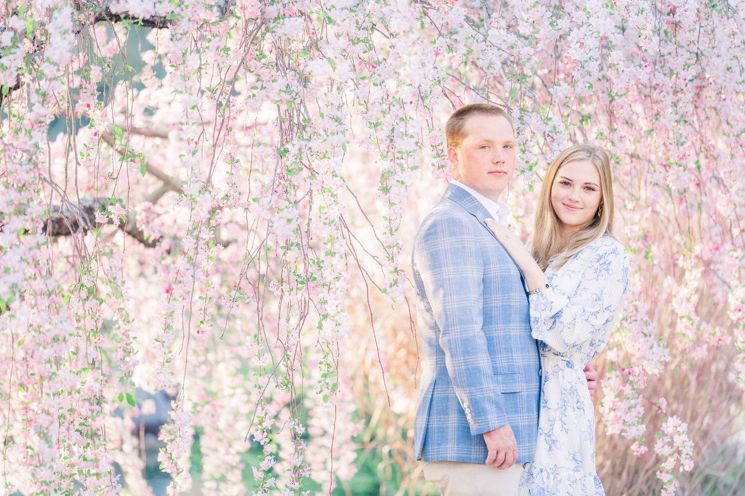 A couple embraces under blooming cherry blossom trees during a romantic spring photoshoot.