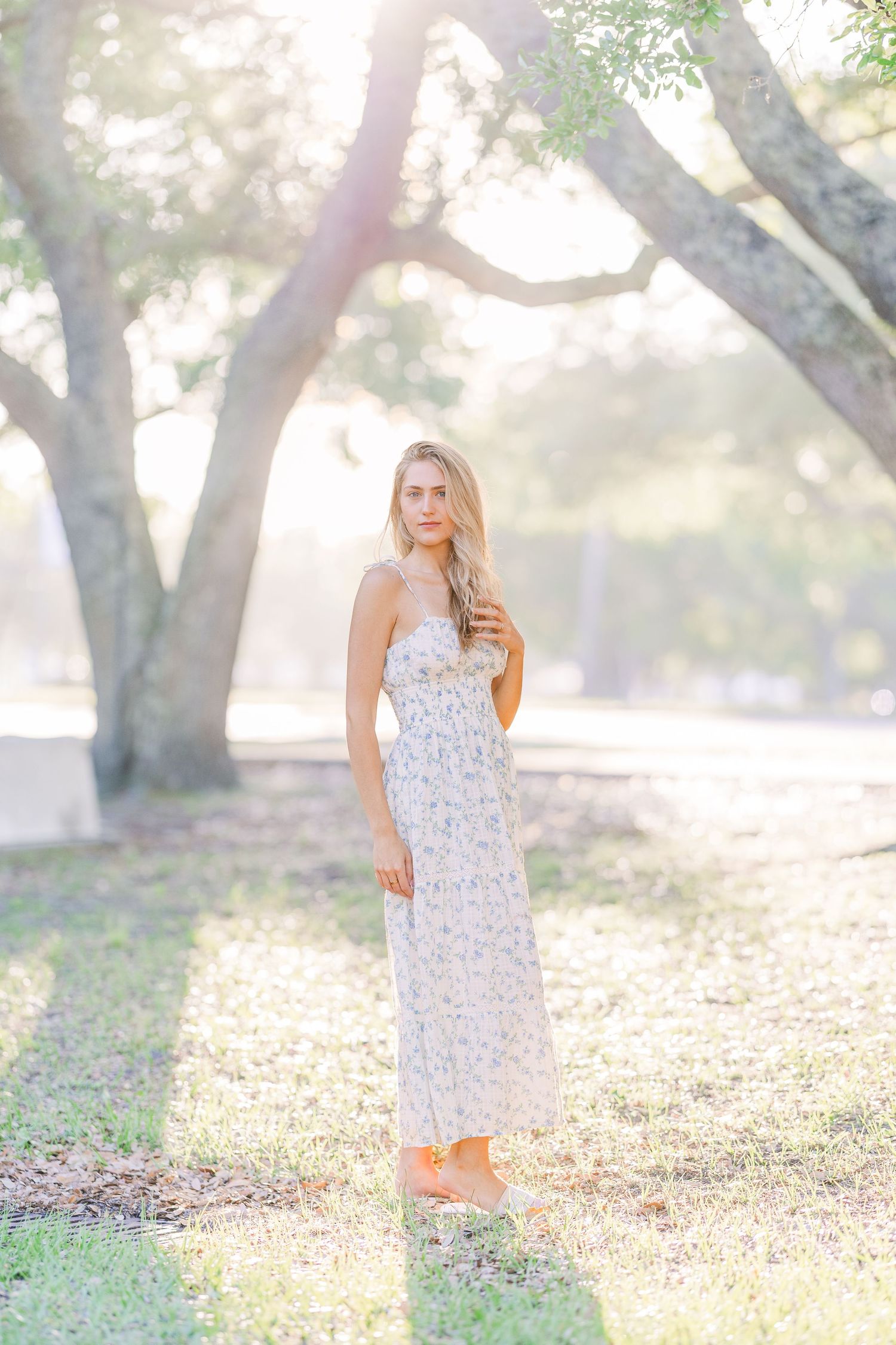 Sunlit outdoor portrait session under mature trees with dappled lighting.