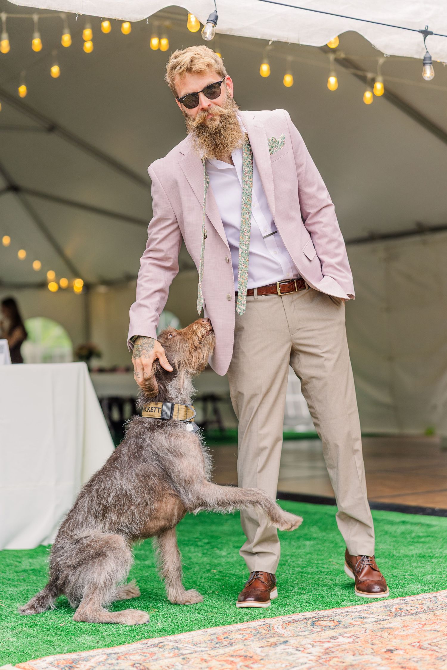 a groom in pink blazer presenting a schnauzer on artificial grass under string lights in a backyard wedding in wilmington, nc