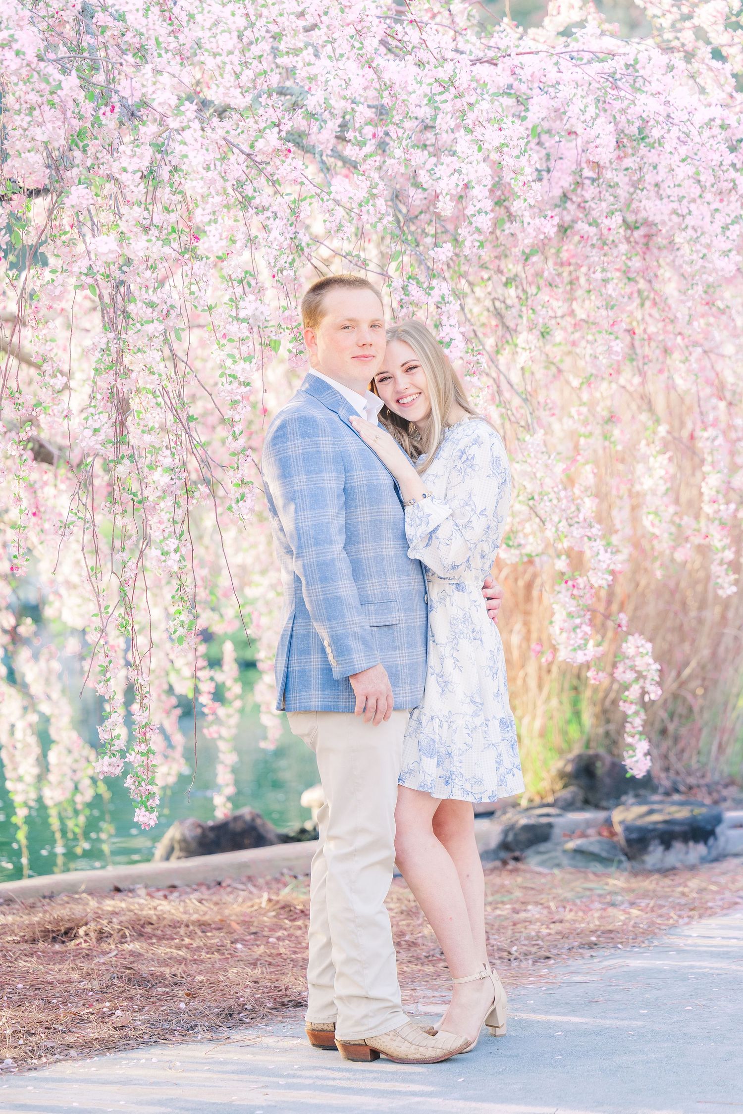 A romantic spring engagement photoshoot under blooming cherry blossom trees along a garden path.
