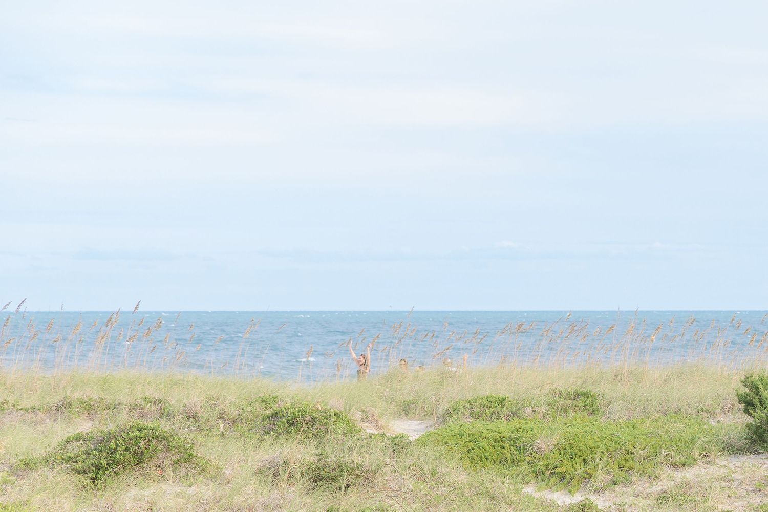 Serene coastal landscape with sea oats and ocean views under soft blue skies.