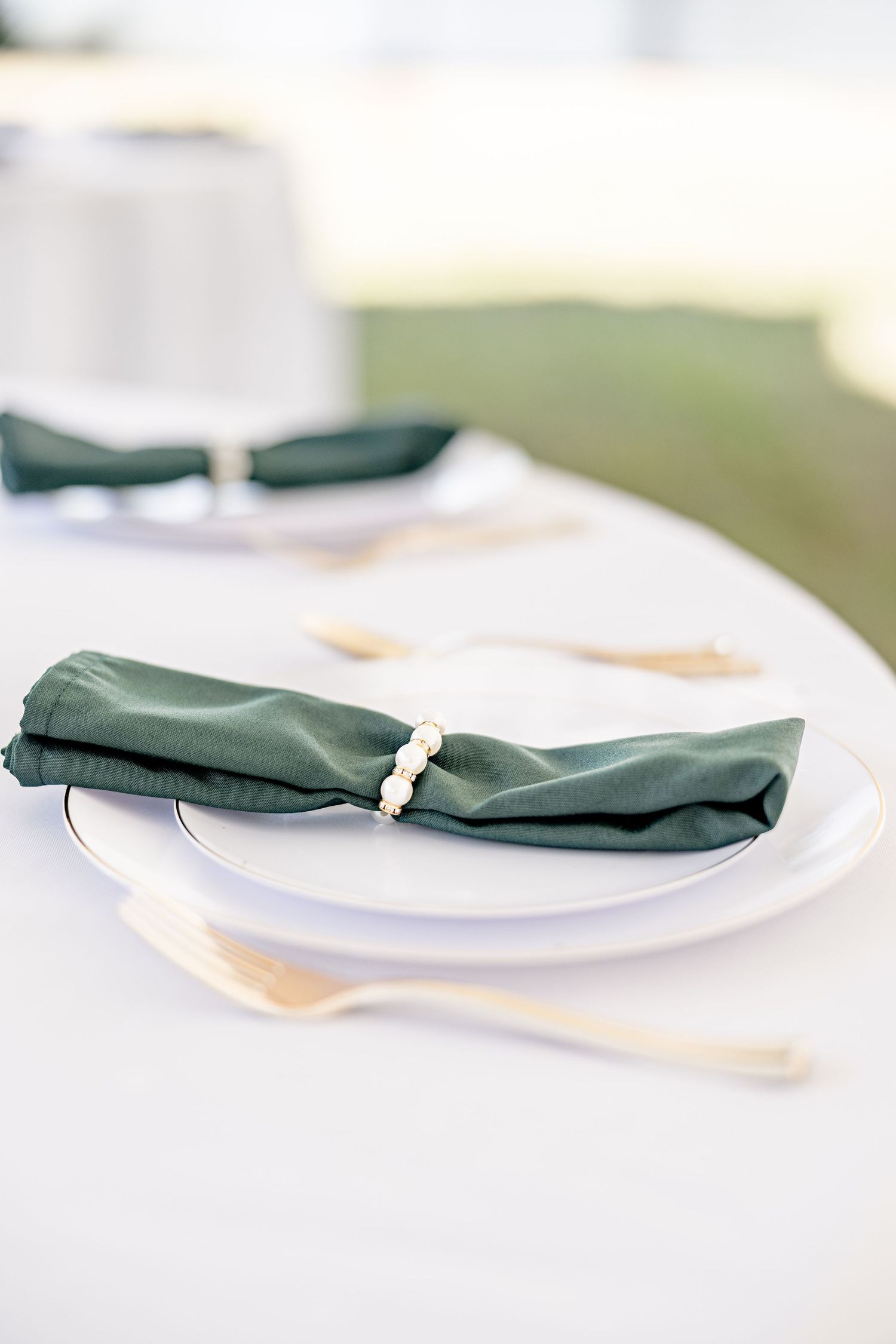 Close-up of dark green linen napkins elegantly folded on white plates wedding groom bride lake Gaston photographer light airy
