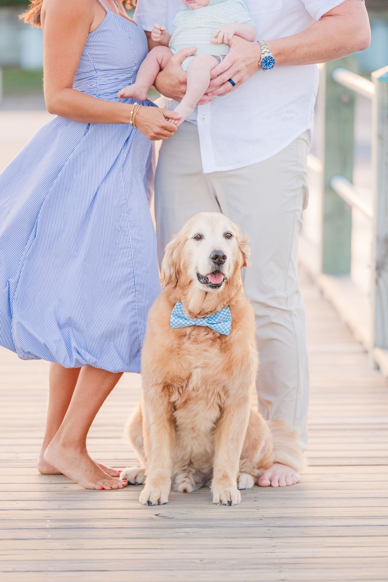 A golden retriever wearing a blue bowtie sits on a wooden dock next to a light blue summer dress.