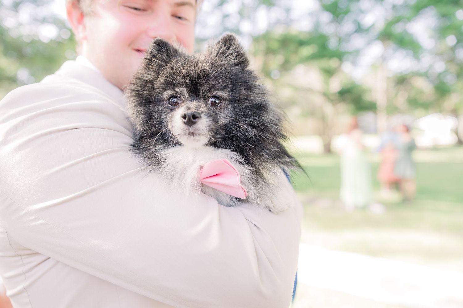 Fluffy gray and white dog being held and petted in outdoor setting wedding groom bride wilmington photographer light and airy classic