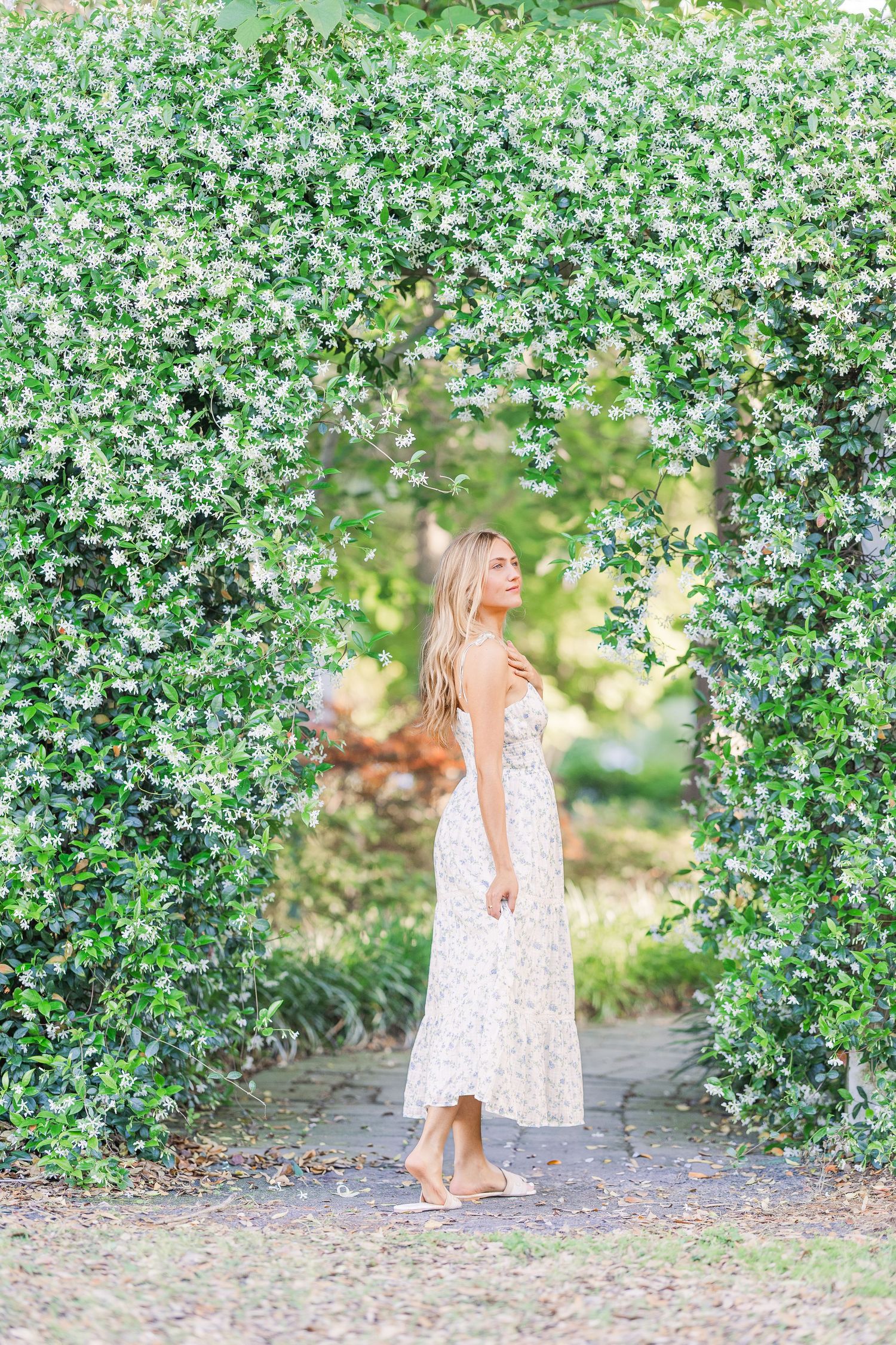 Beautiful garden setting with white flowering trees creating a natural archway.