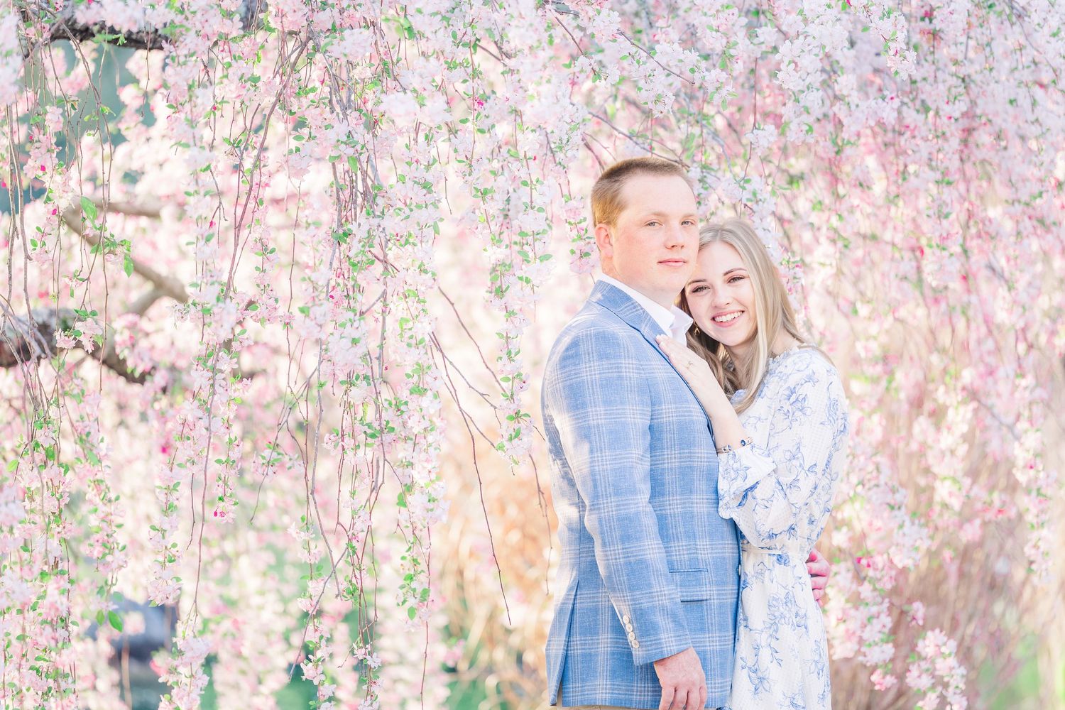A couple embraces under blooming cherry blossom trees with soft pink petals creating a romantic spring atmosphere.