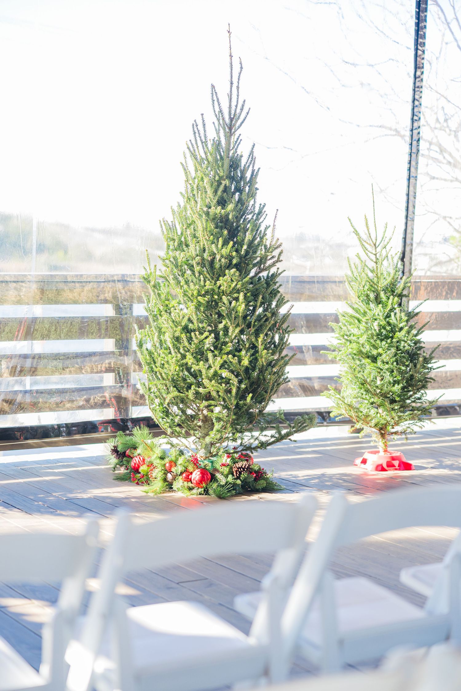 Small evergreen trees decorated with red flowers line a white chair setup for an outdoor winter wedding.