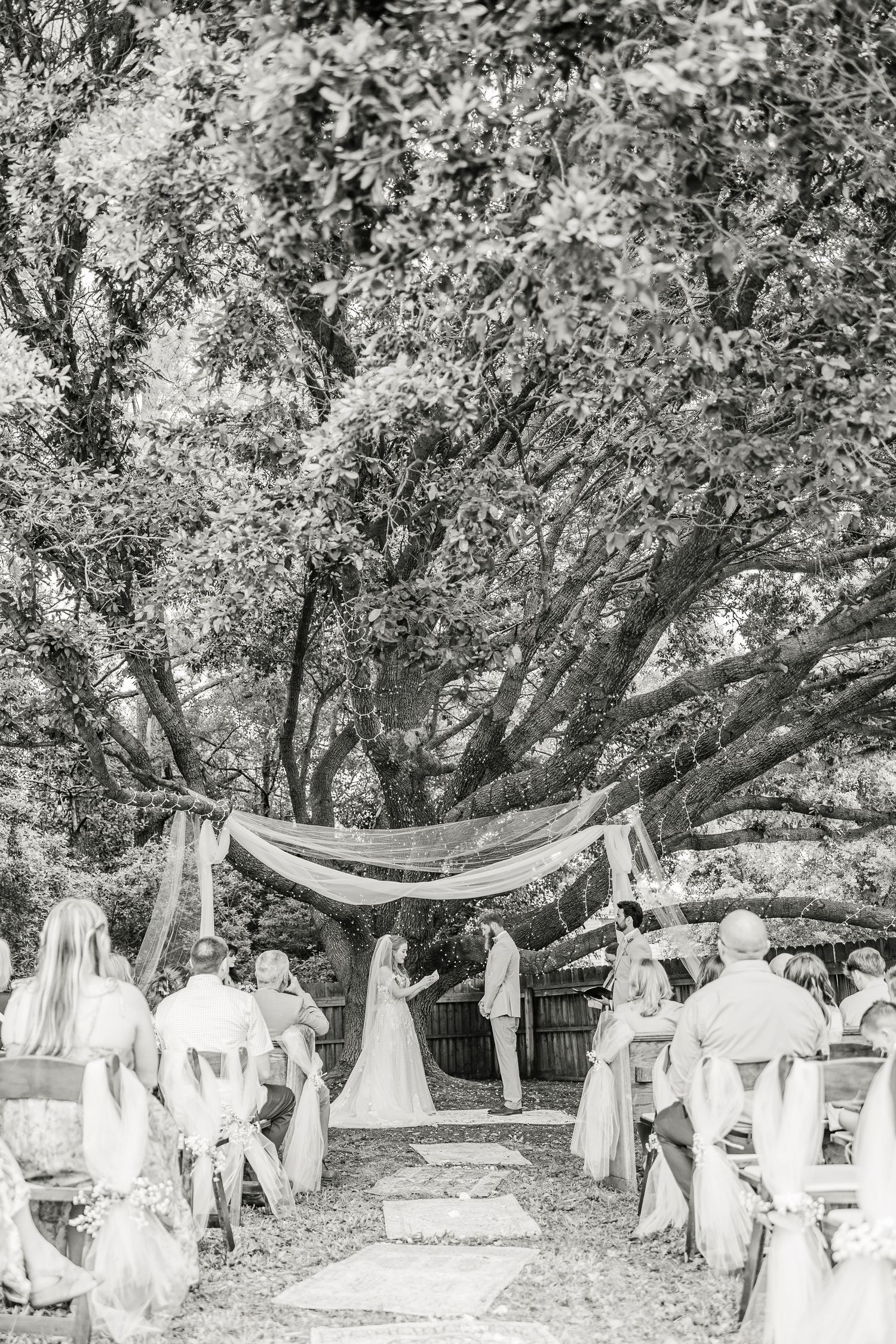 Black and white photo of outdoor wedding ceremony under draped fabric and trees wilmington and Wrightsville Beach maternity wedding
