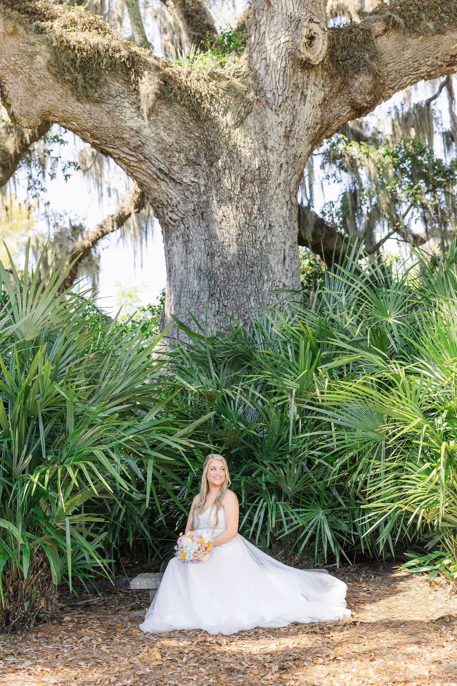 Elegant bride in white gown sits beneath a large moss-draped oak tree surrounded by lush tropical greenery in Airlie Gardens in Wilmington,