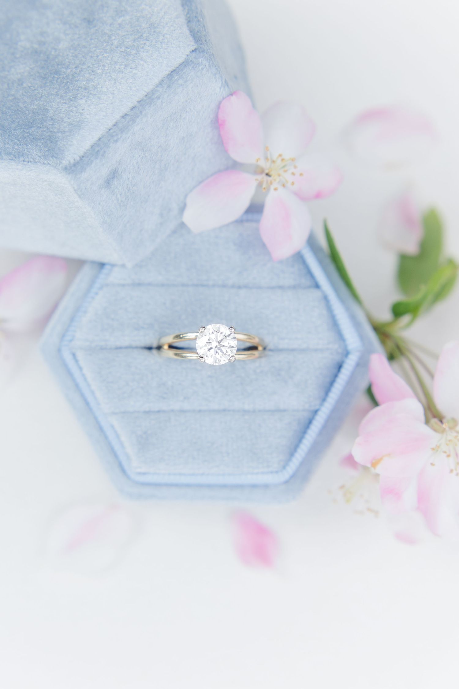 A sparkling diamond engagement ring in a light blue velvet box with delicate pink flower petals.