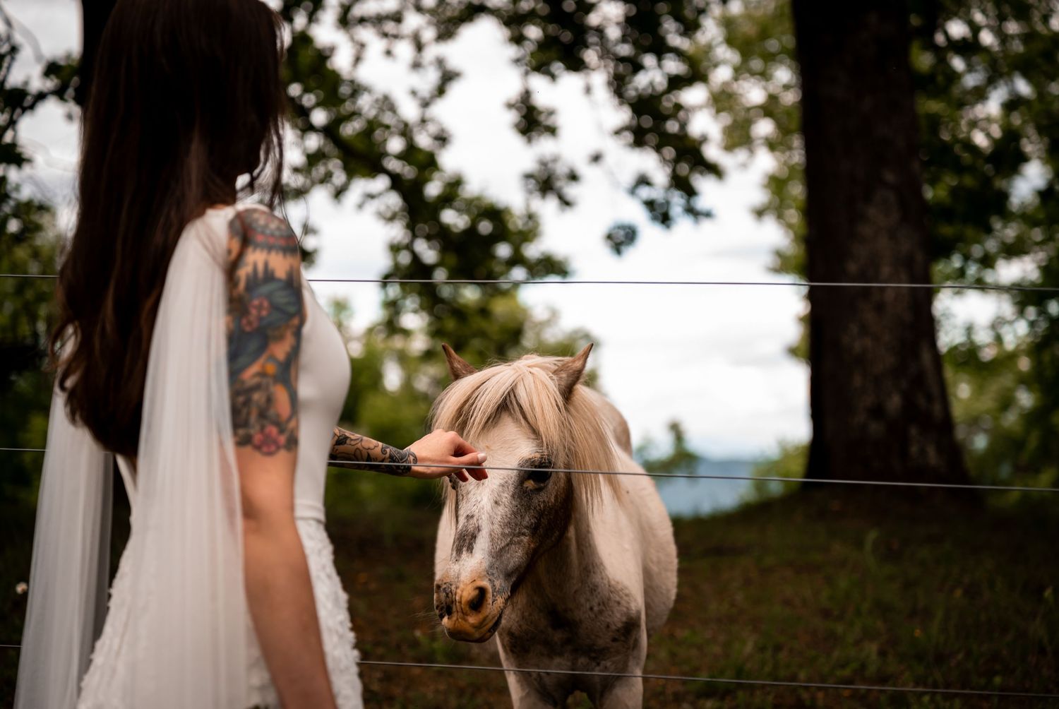 Bride wearing a flowing dress standing beside a horse in an outdoor woodland setting.