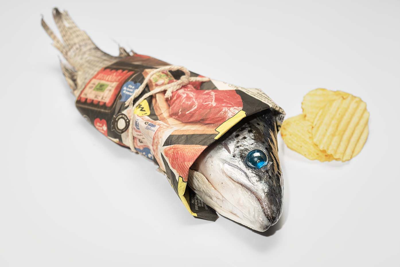A fish wrapped in colorful comic book pages with a potato chip on a white background.