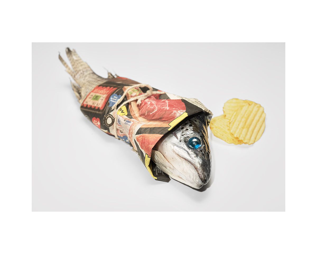 A fish sculpture filled with colorful collaged magazine clippings and a potato chip, displayed on a white background.
