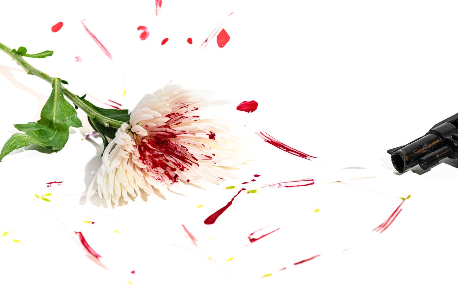 White flower being shot by gun with red splatter effect against white background.