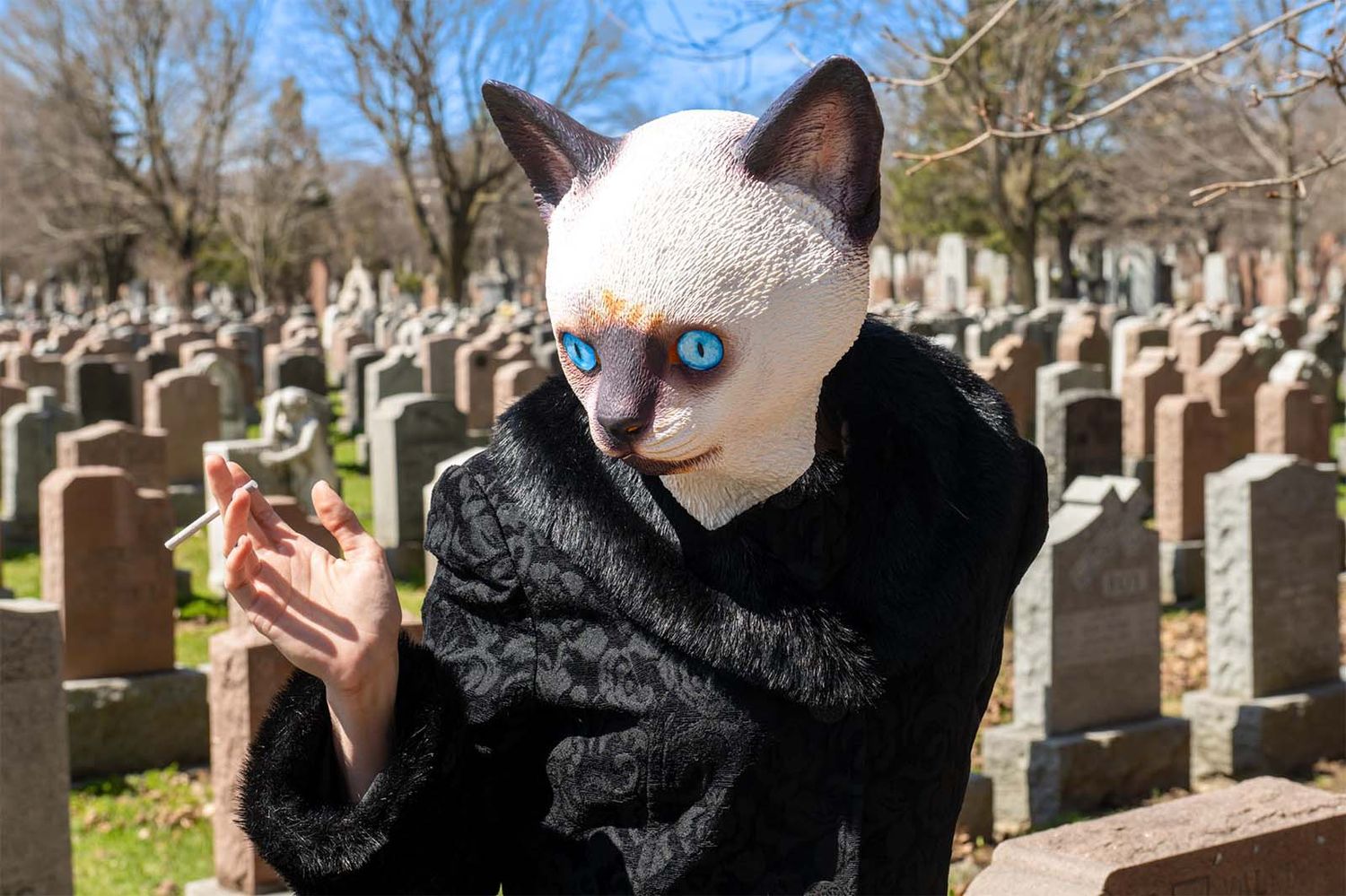 Person wearing a Siamese cat mask and black fur costume posing in a cemetery among gravestones on a sunny day.