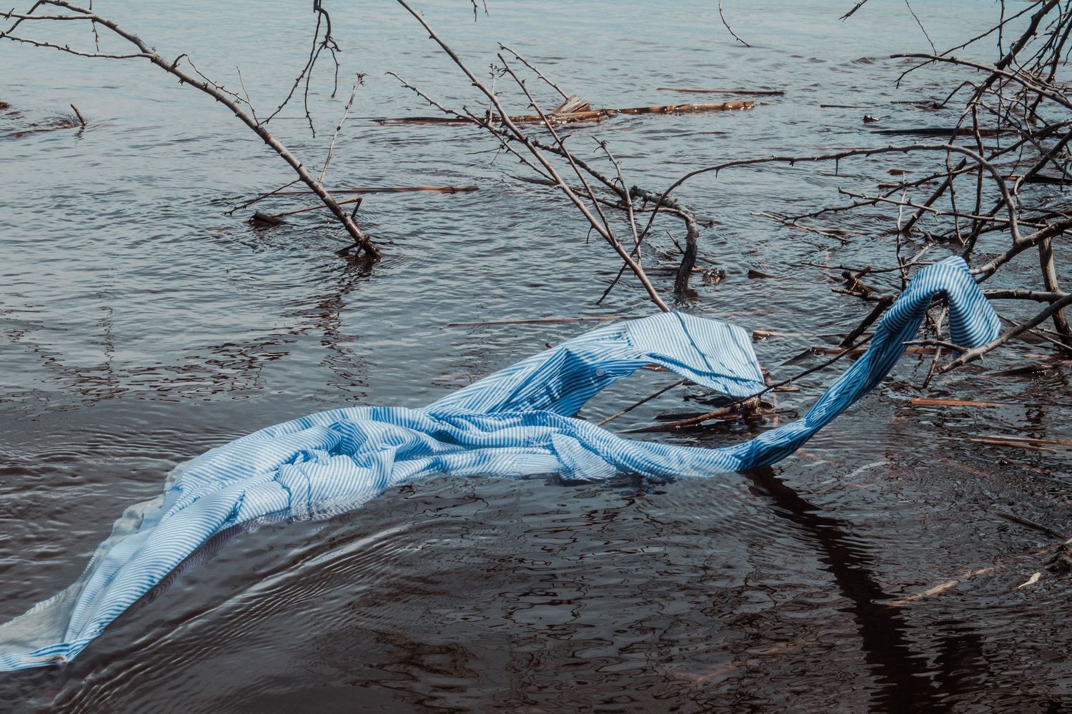 Branches and debris floating in calm water surface.