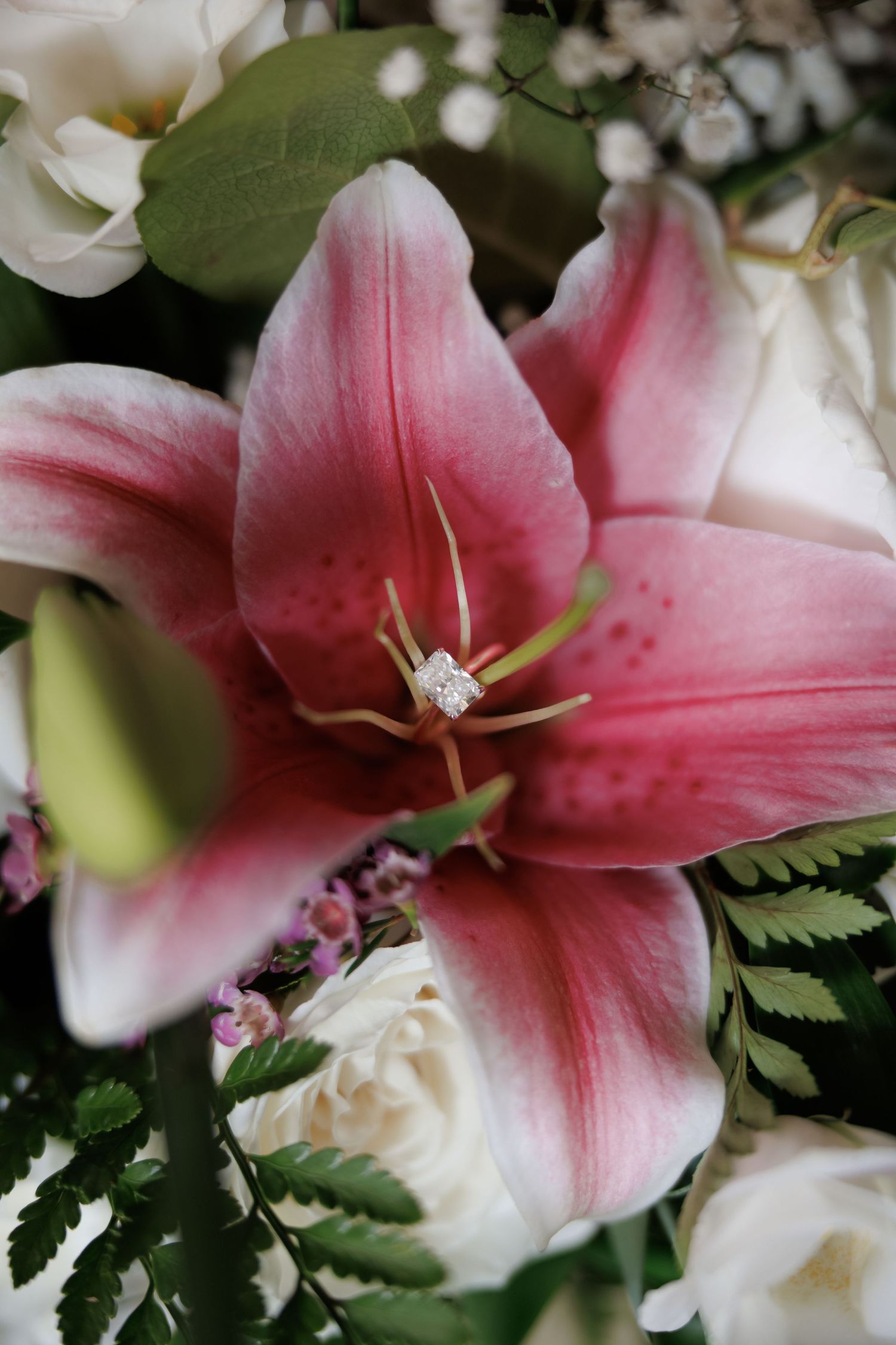 Close-up of pink and white stargazer lilies with diamond ring detail.