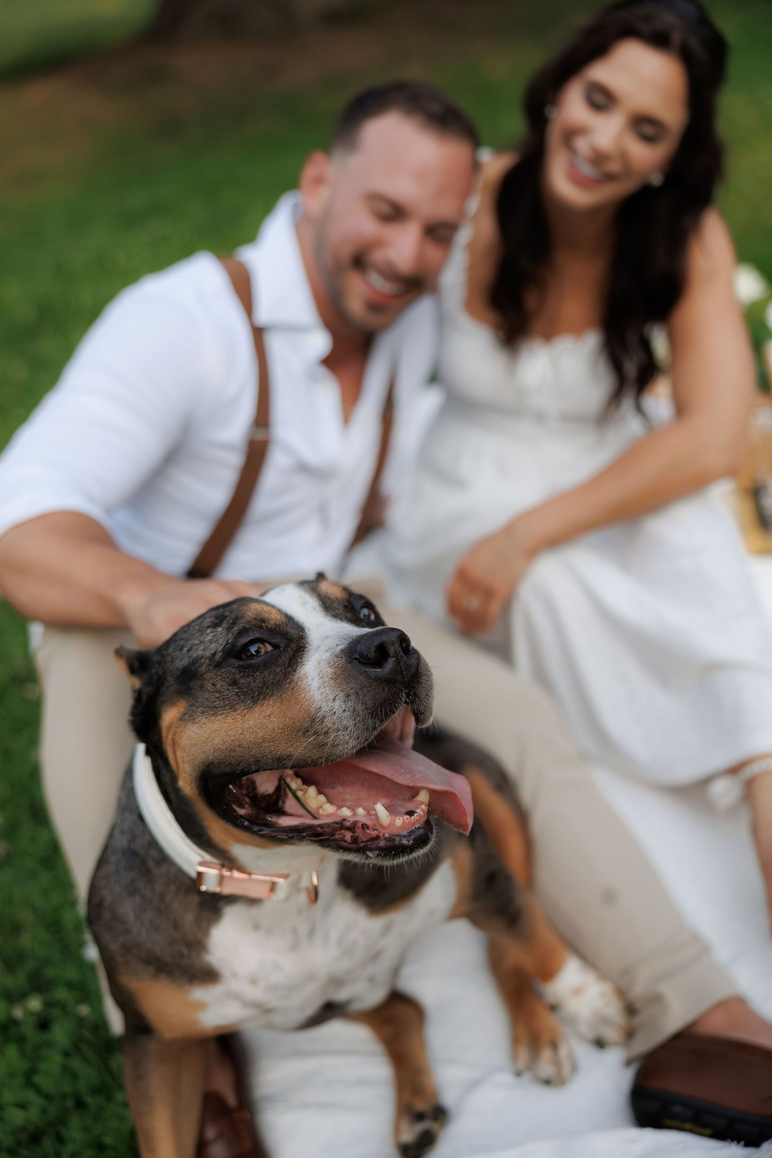Happy dog smiling at camera while couple enjoys picnic in background.