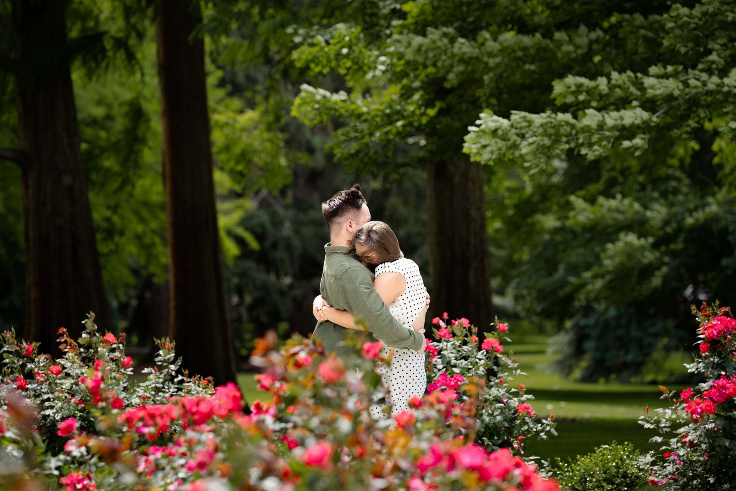 A couple embracing after he proposed surrounded by pink rose bushes.