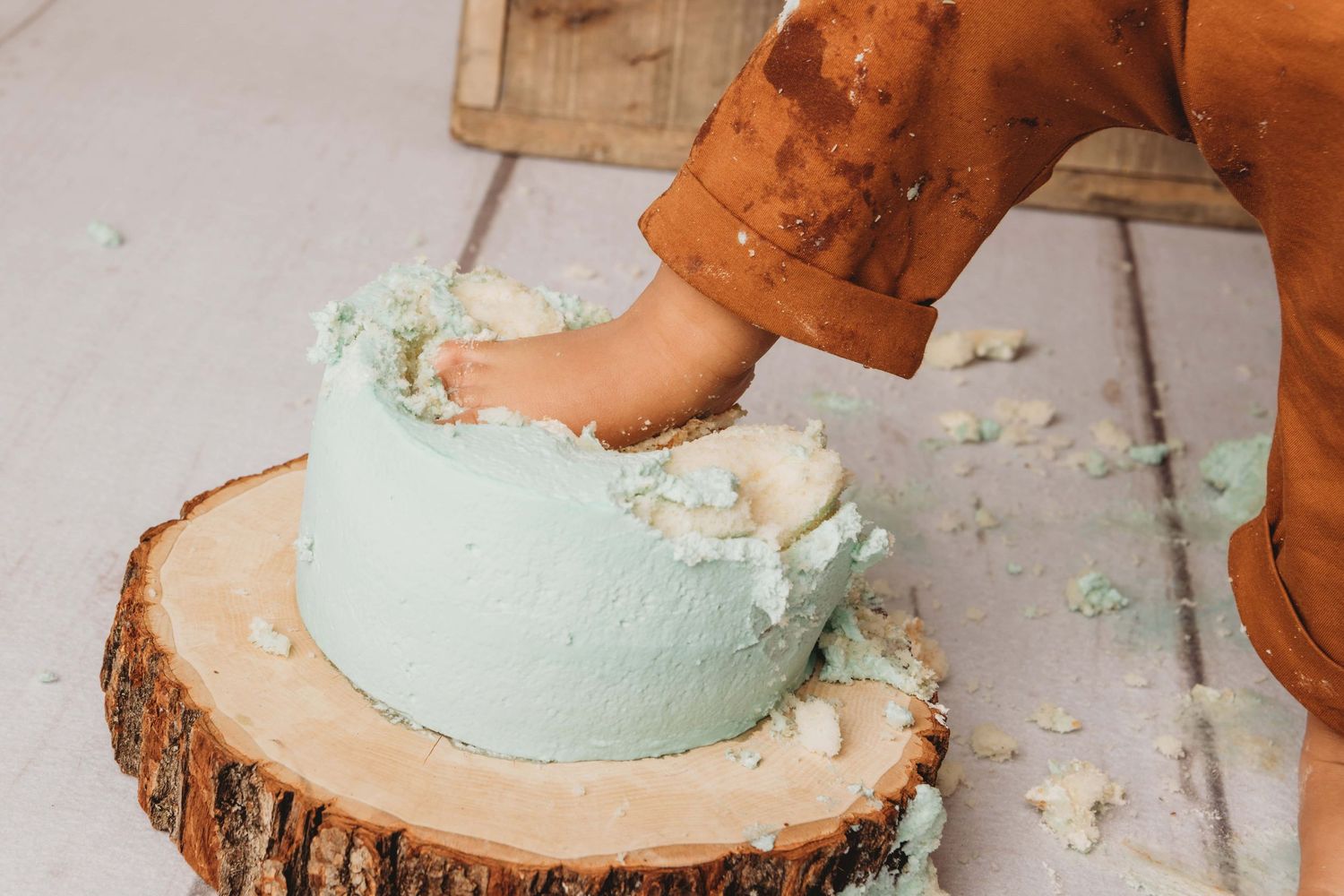 A one year old steps on his cake during his cake smash portrait session.