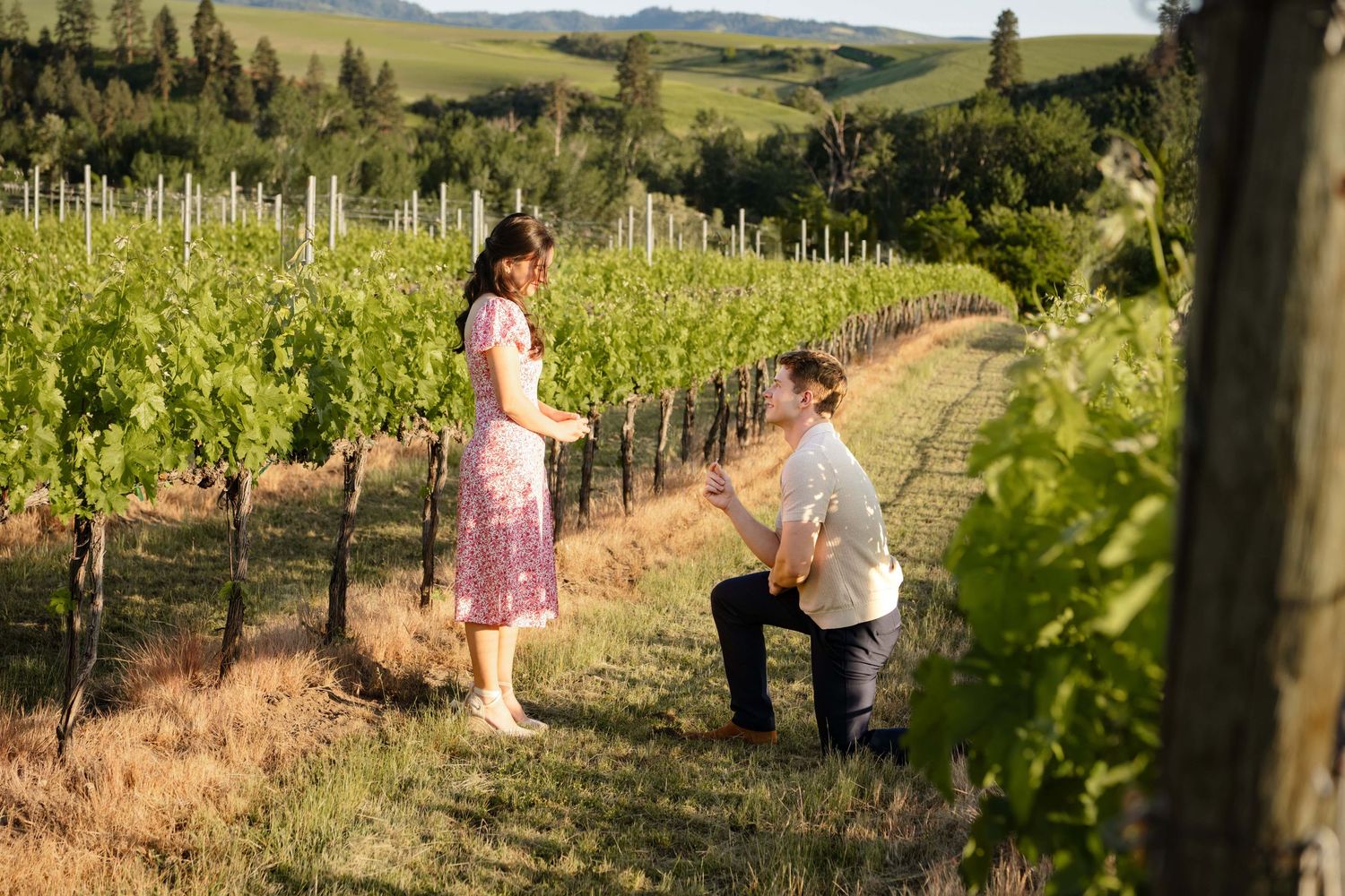 A man on one knee proposing to his girlfriend in a vineyard surrounded by grassy hills, captured by a Walla Walla proposal photographer.
