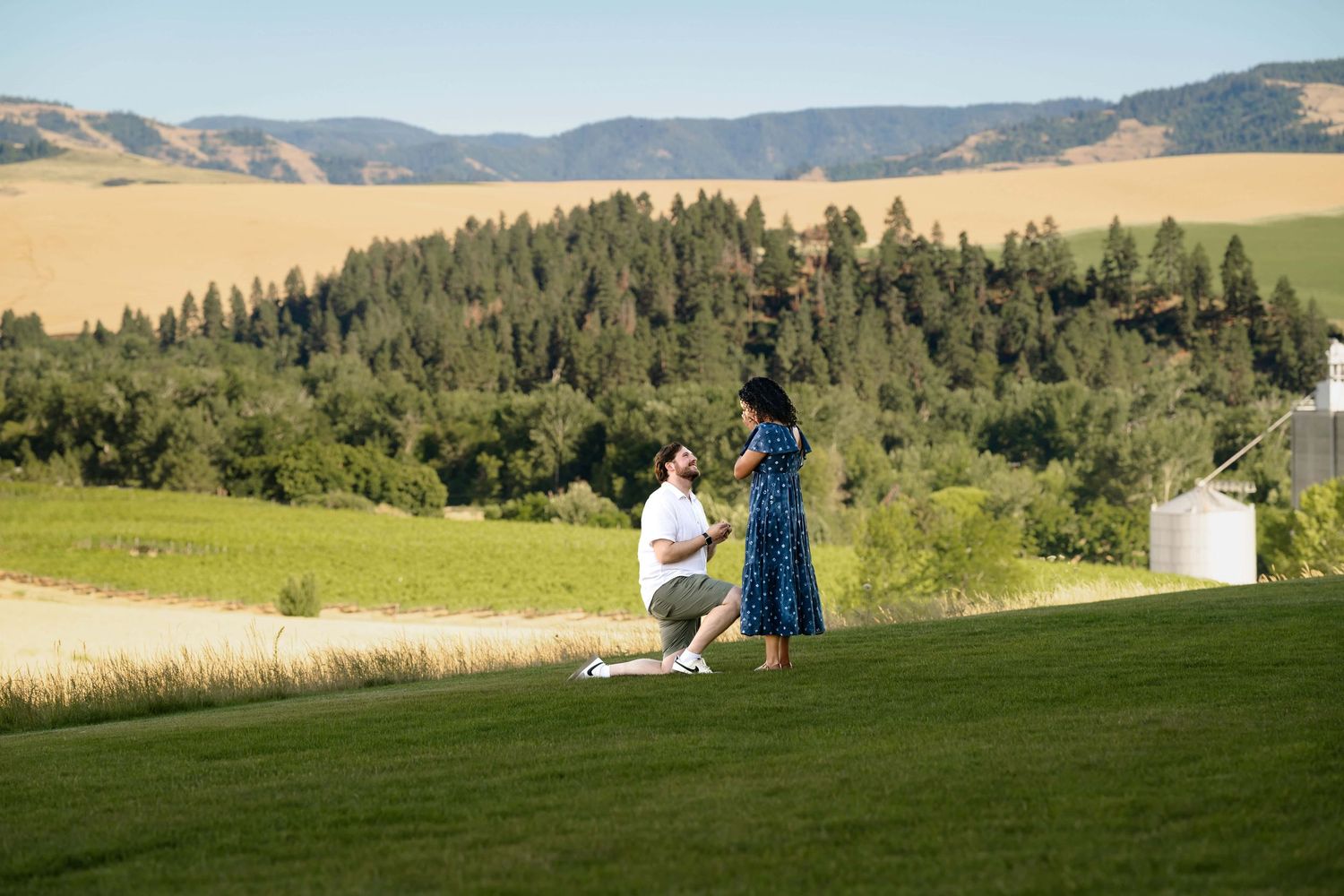 A man proposing with the blue mountains in the background while a woman covers her face with a surprised expression.