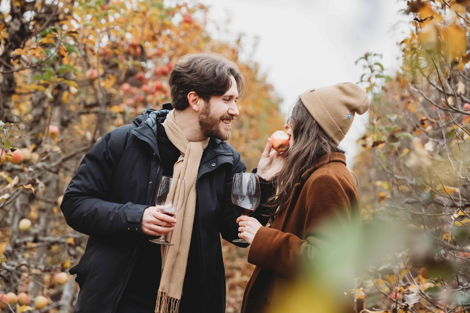 A man playfully feeding his fiancé an apple while in an apple orchard.