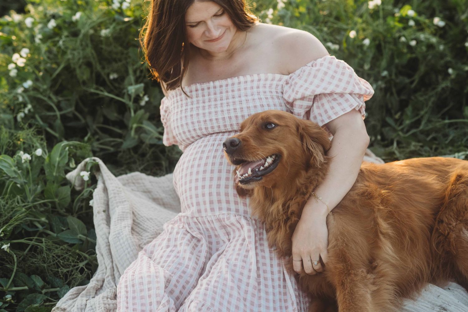 A pregnant woman sitting with her golden retriever in a pea field.