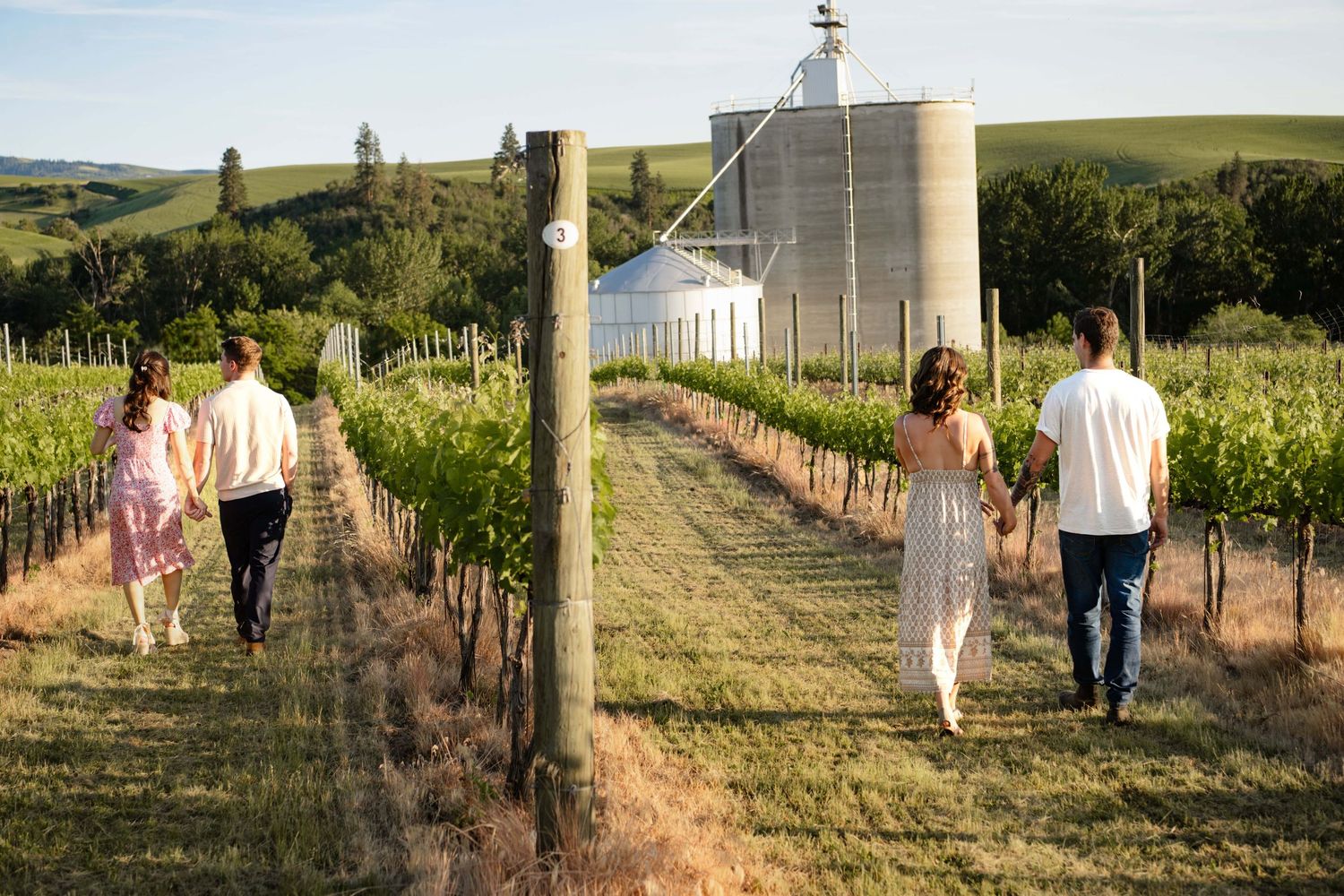 Two couples walking through a vineyard just before a man proposes to his girlfriend in Walla Walla.