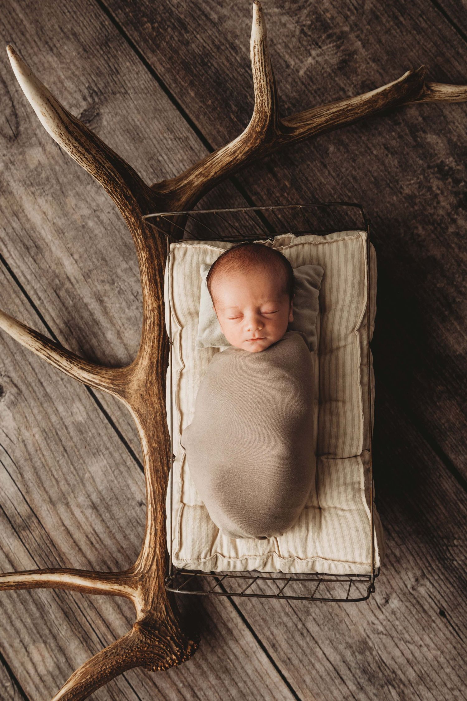 A newborn sleeping on a wire bed with a large antler on the floor.