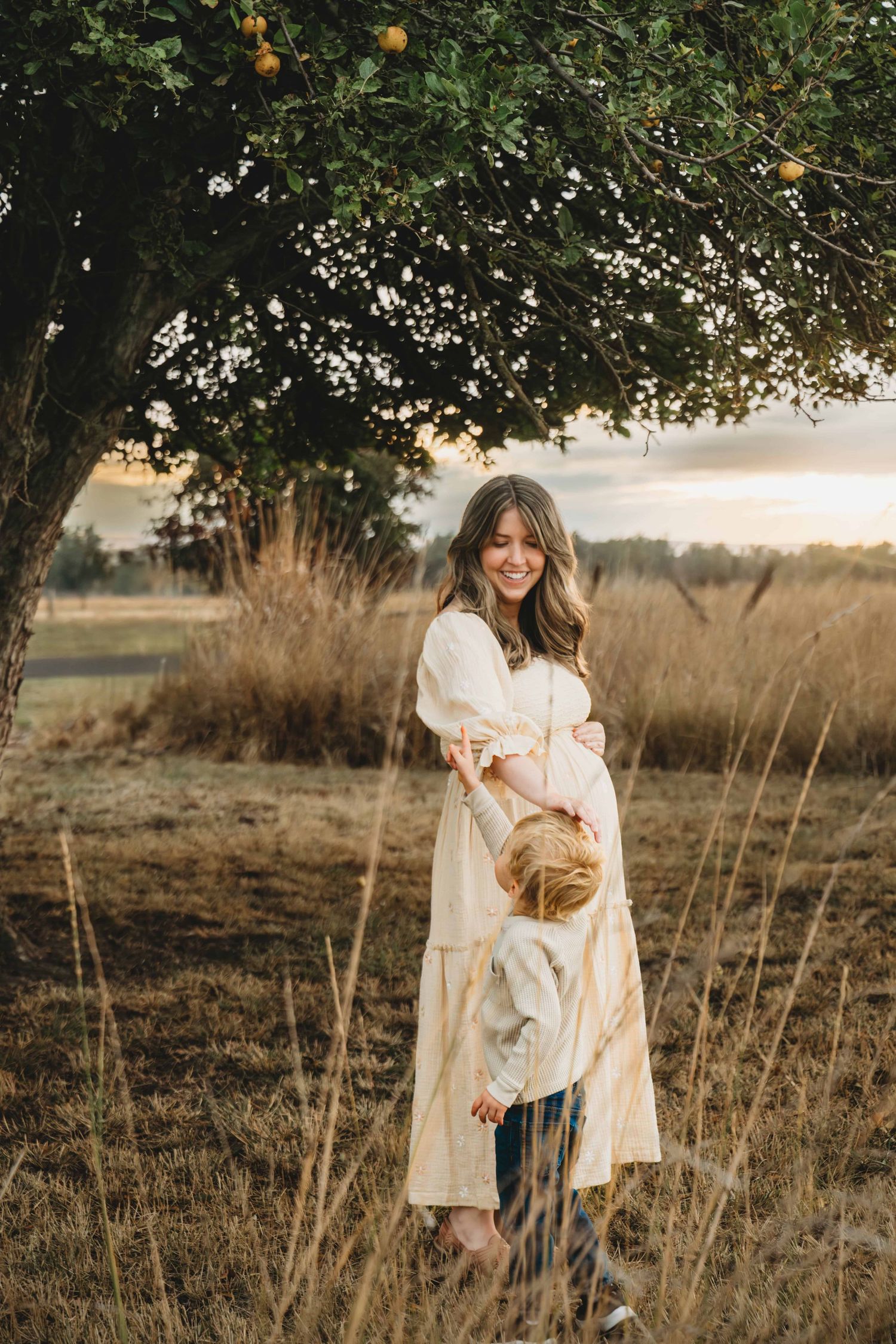 A toddler reaches up for his mother while she holds her pregnant belly during a maternity photoshoot in Walla Walla.