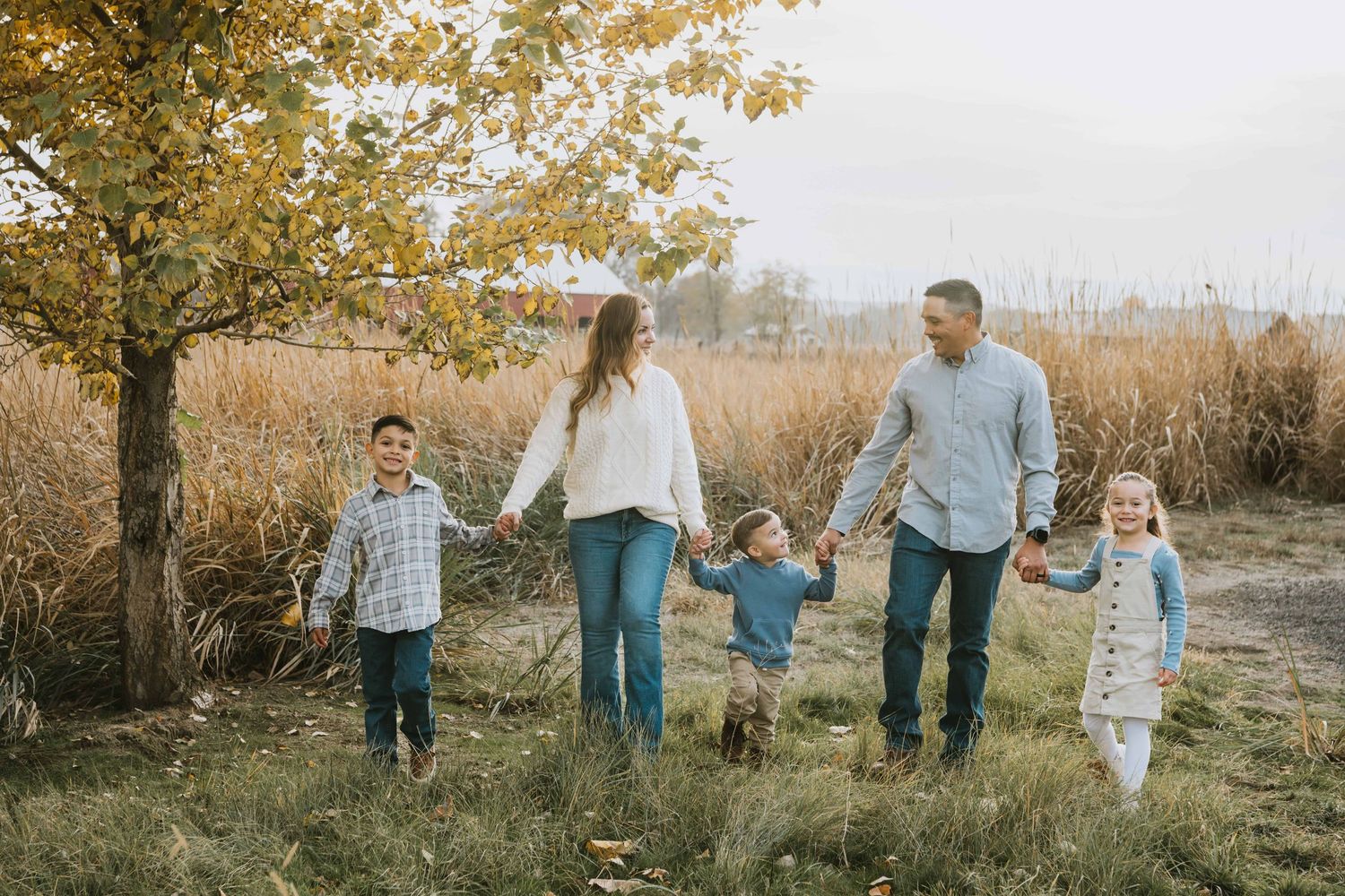 A family holding hands walking underneath a tree while talking to each other.