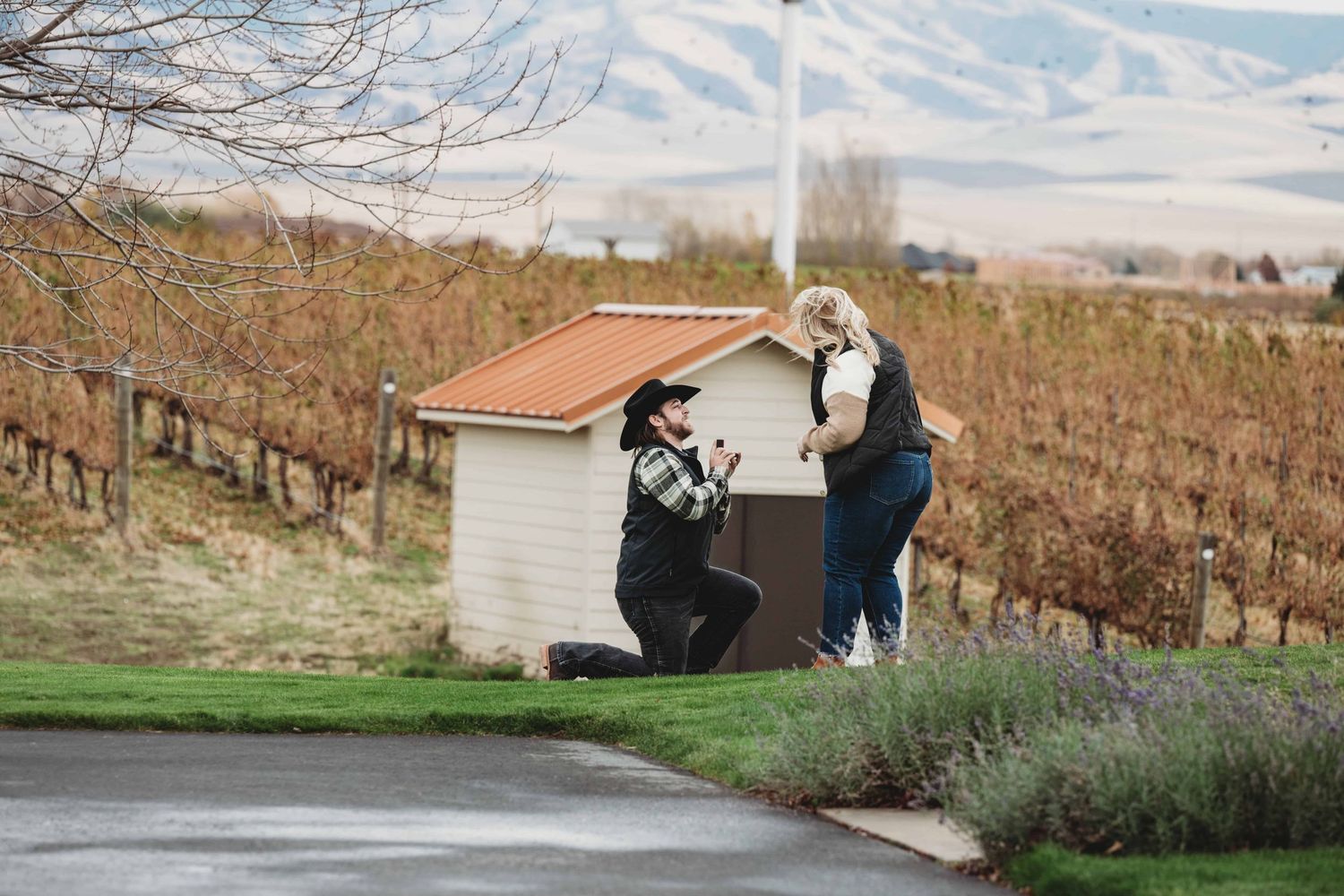 A man proposing to his girlfriend with dormant vines and mountains in the background, taken by a Walla Walla proposal photographer.