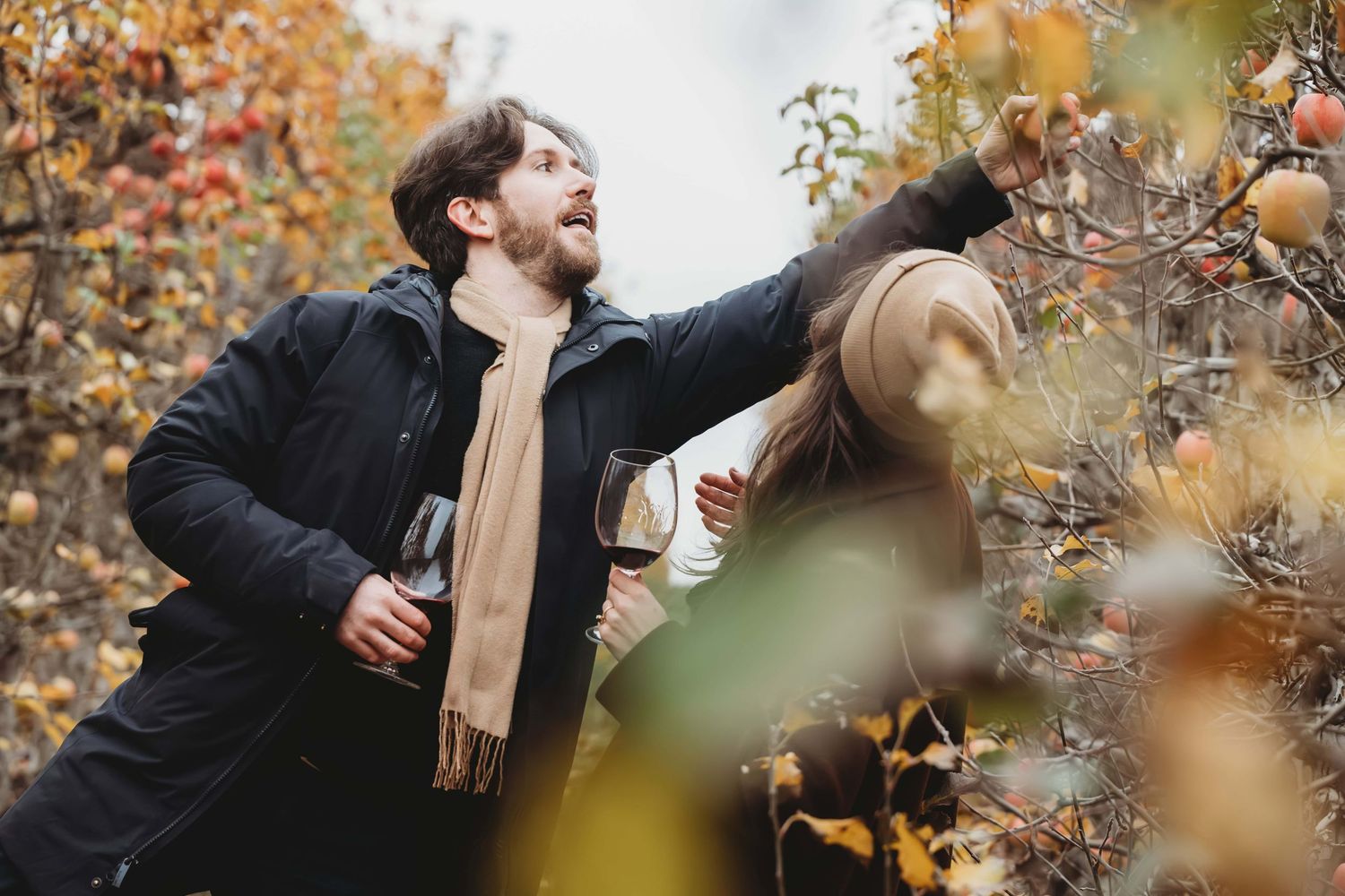 A man holding a wine glass reaching to pick an apple from a tree in an orchard in Walla Walla.