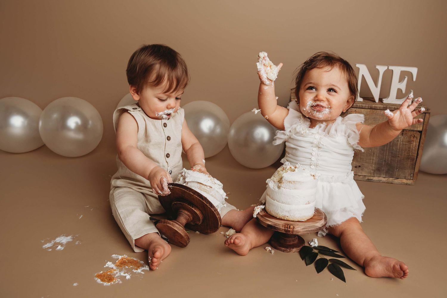 Twin one year old cake smash.