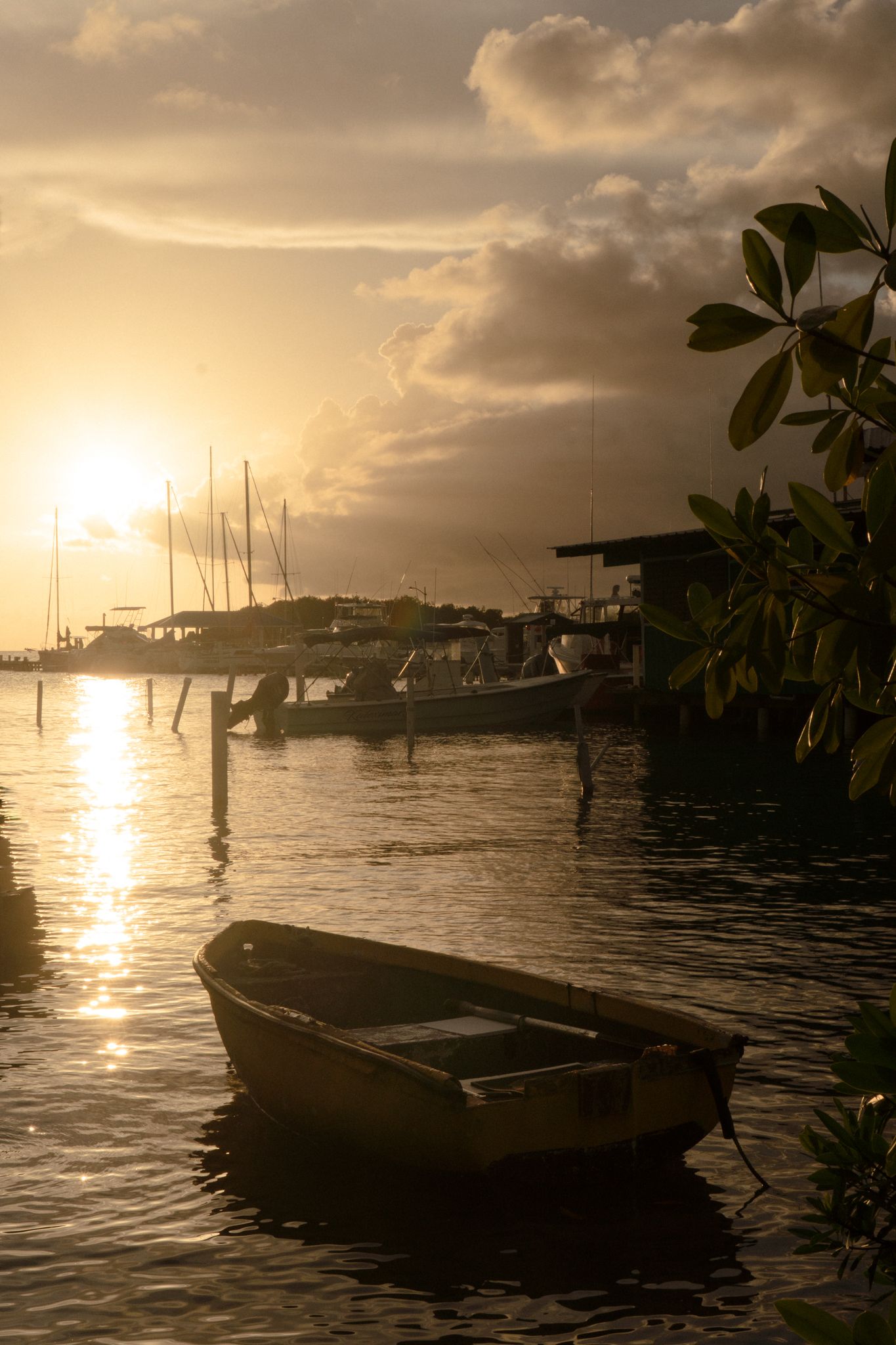Sunset in Puerto rico. natural photographer