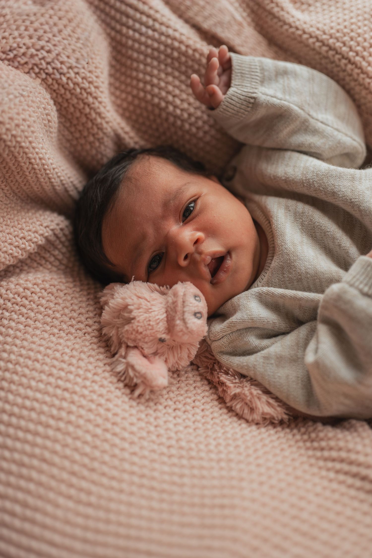 Newbornshoot Sumaya