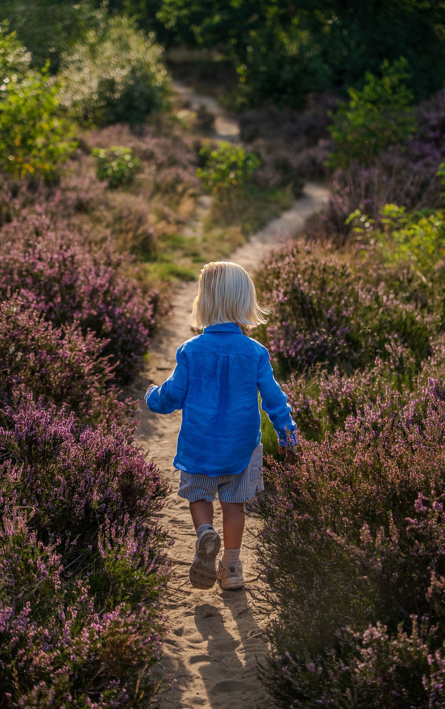 Shoot heide Ede, Dirk Jr.