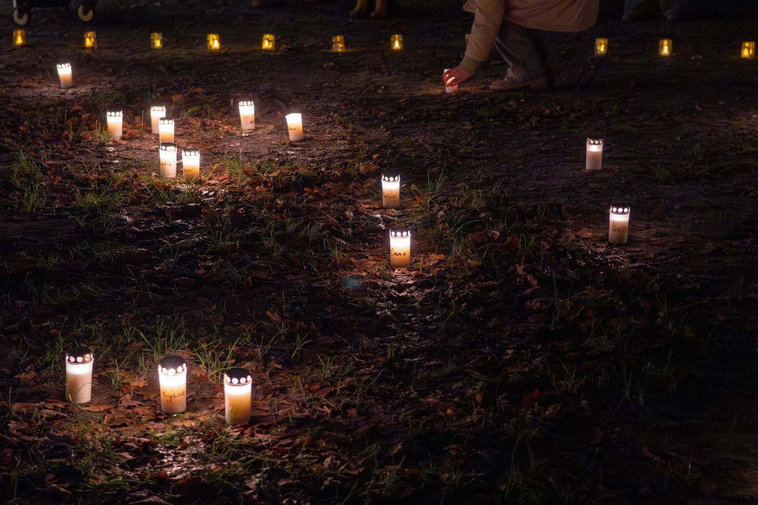 Wereldlichtjesdag 2025