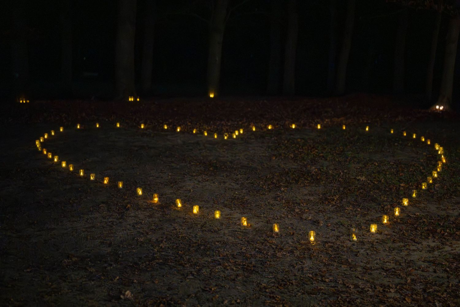 Wereldlichtjesdag 2025
