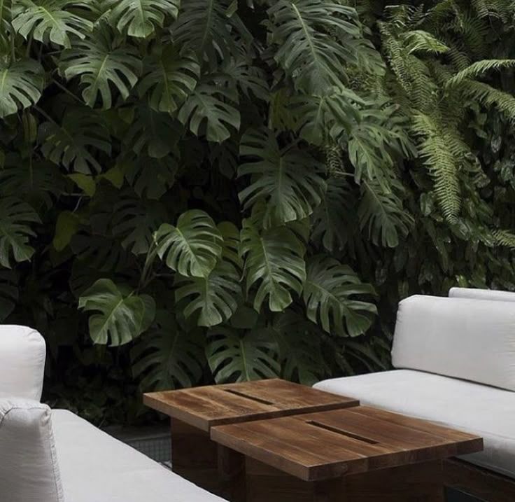 Modern outdoor patio furniture with white cushions surrounded by lush tropical monstera plants and greenery.
