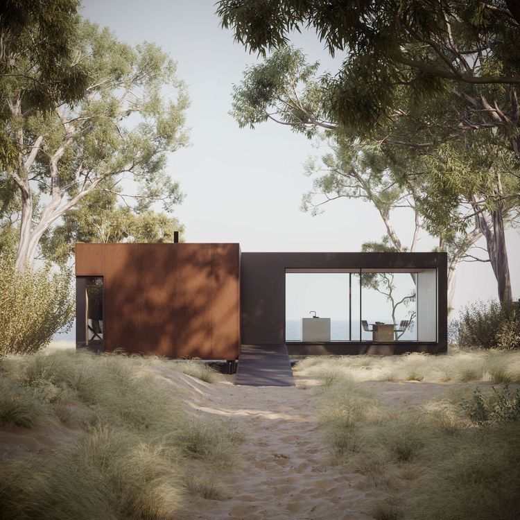 Modern minimalist house with dark exterior walls nestled among tall trees and native grasses in a natural setting.